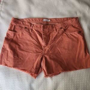 Carve Designs Women's Rust Jean Shorts